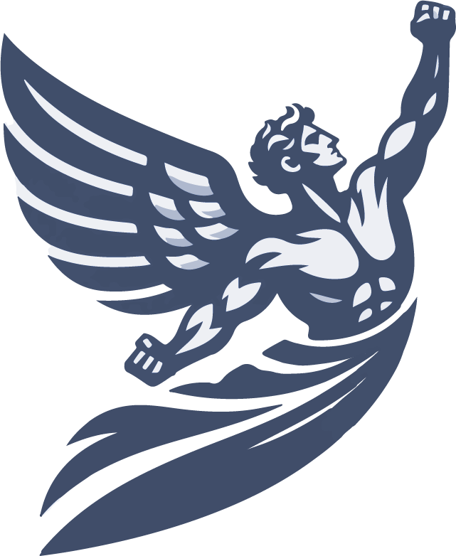 Icarus IT Consulting